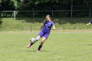Bild 220 - wCJ VfL Pinneberg - Nordlichter im NSV : Ergebnis: 4:3